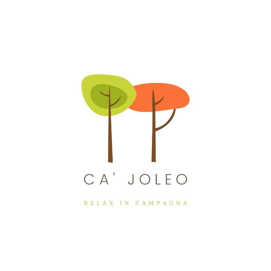 Ca'Joleo - Relax In Campagna Del Lago Di Garda San Giorgio in Salici 外观 照片